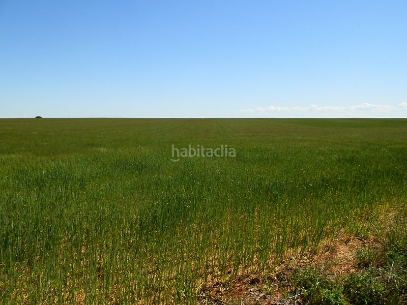 Foto 007f52e5-f8e5-4fb9-b460-d0e24668d573. Finca rústica a Gineta (La)