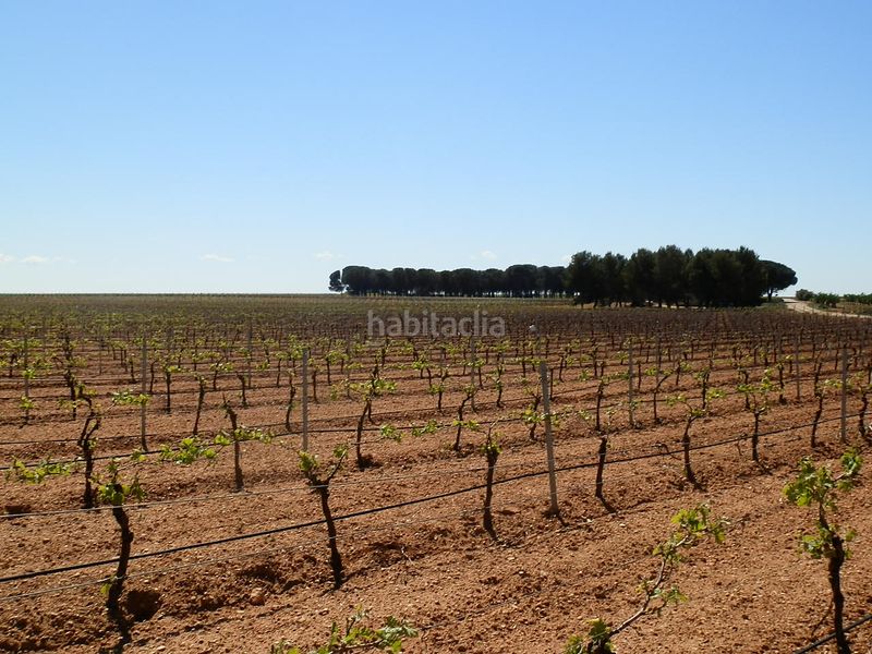 Foto ee3398e1-a480-48da-aab6-5af750b934e2. Finca rústica a Gineta (La)