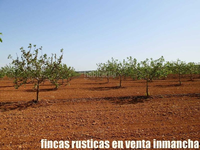 Foto 219ccbb0-2e2e-4d93-bd89-f168fad09e1b. Finca rústica a Belmonte