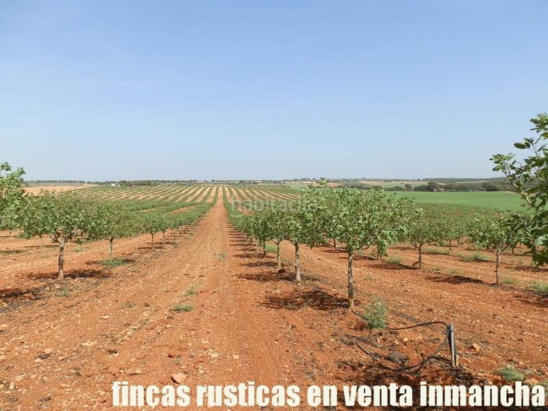 Foto 36b88b55-0df2-4313-a287-b841080e5cb5. Finca rústica a Belmonte