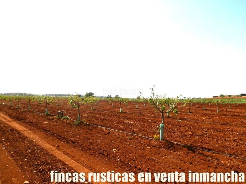 Foto 988e6d24-0887-45d9-8bdb-3da21678722a. Finca rústica a Belmonte