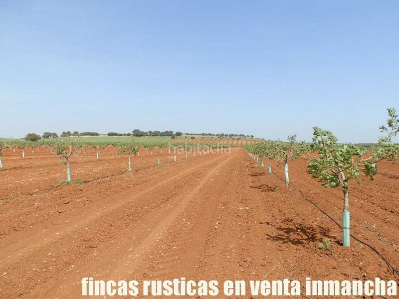 Foto aa103f49-0c73-448e-a656-0dbc9c4cc1bb. Finca rústica a Belmonte
