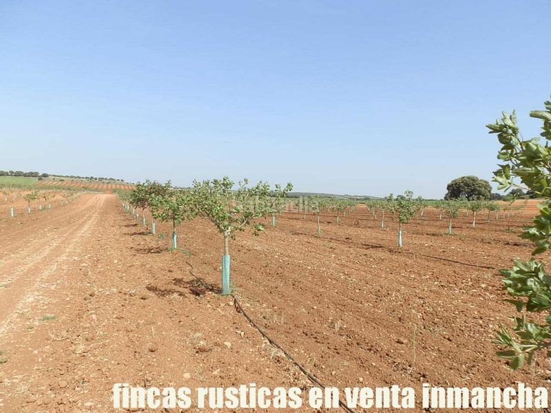 Foto ba562d03-0a8c-4e0a-80ff-ce561fbab8e5. Finca rústica a Belmonte