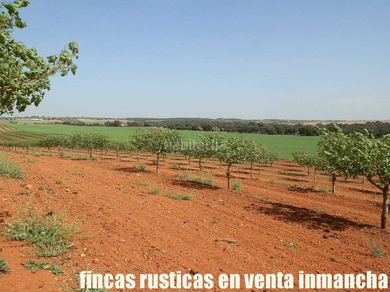 Foto c9d06abd-b8a7-448c-9329-790d6f1bc77d. Finca rústica a Belmonte