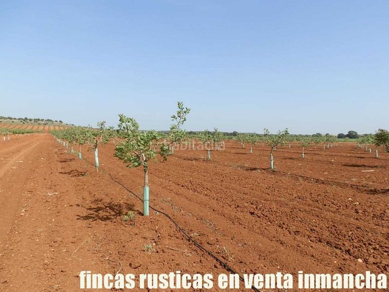 Foto e6dc2334-8f79-41a5-b6b9-656e0c3ad3b5. Finca rústica a Belmonte