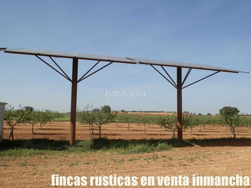 Foto ec0c6e9d-bcac-49fa-9f5e-b058ad32ee2c. Finca rústica a Belmonte