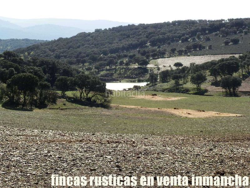Foto 0a98068f-c39a-441a-987a-a65dd78ad2fa. Finca rústica a Almuradiel