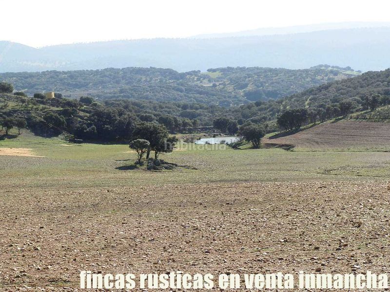 Foto 33c27f34-bc49-4902-83d7-b4f731872f42. Finca rústica a Almuradiel