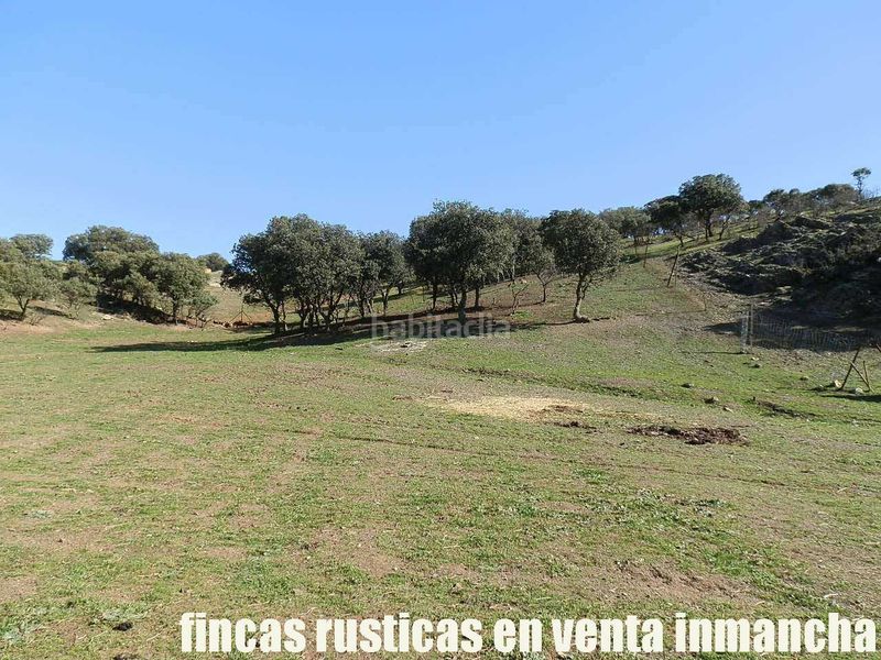 Foto 71892f5f-e986-4474-8368-ec8a7c60ed93. Finca rústica a Almuradiel