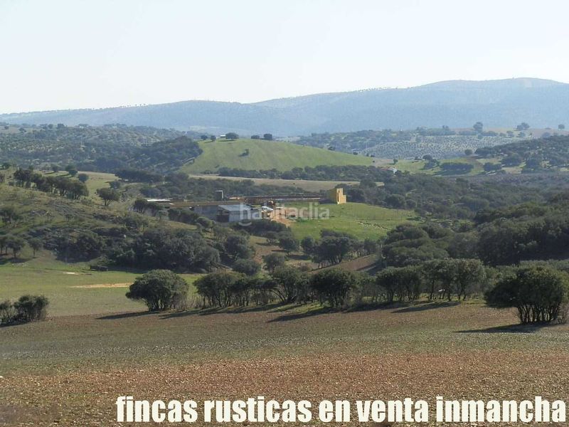 Foto 7255501c-5cae-4c9d-8e21-5f8b0458f6cd. Finca rústica a Almuradiel