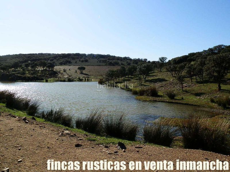 Foto 72f09708-15af-43b7-8033-42ab4c7fba61. Finca rústica a Almuradiel