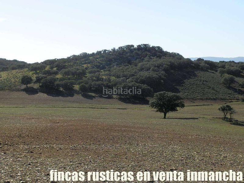 Foto 74e1d3d7-e431-4e0c-bbca-83563ff3e3a2. Finca rústica a Almuradiel