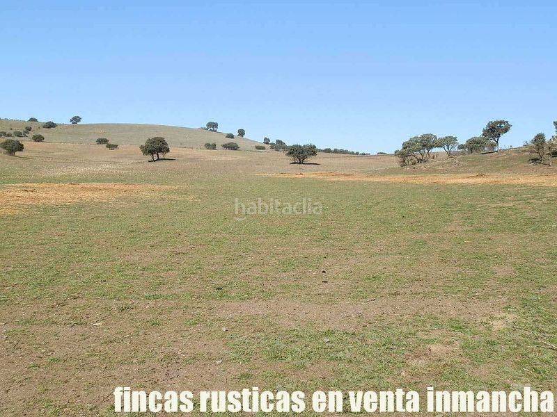 Foto 76e1a399-74e6-486c-88cd-58c5c1eb41ad. Finca rústica a Almuradiel