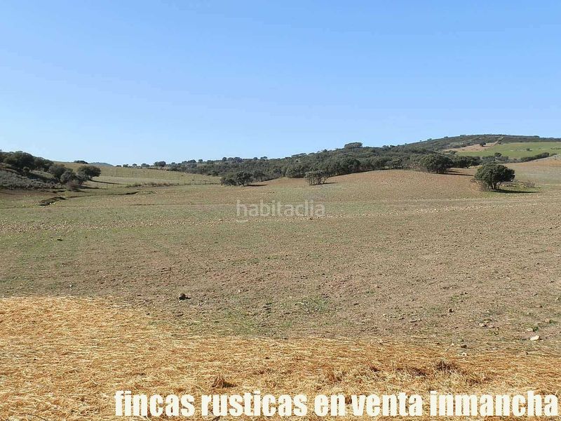 Foto 913727ca-c465-4cc5-98b9-b364691c0c84. Finca rústica a Almuradiel