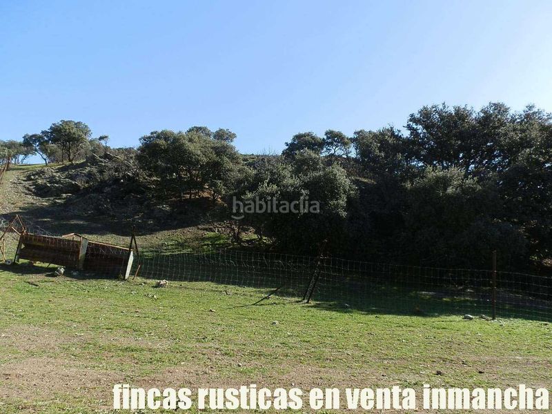 Foto c533b2a9-354b-43f2-84c0-3451881695b7. Finca rústica a Almuradiel
