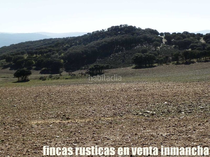 Foto d82a220f-1ab7-463e-8b0a-14a6ebda0bef. Finca rústica a Almuradiel