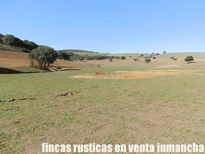 Foto e4807faa-0e9a-401b-a5ee-5c4e4f444d0b. Finca rústica a Almuradiel