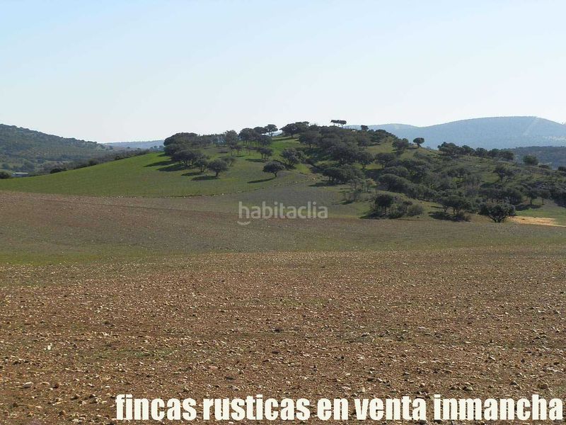 Foto f7ec4905-1550-4e9e-822a-8f8bb5826ec1. Finca rústica a Almuradiel