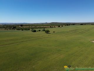 Landgut in Almansa. Finca en venta 544 has. labor secano viña riego caza mayor en al