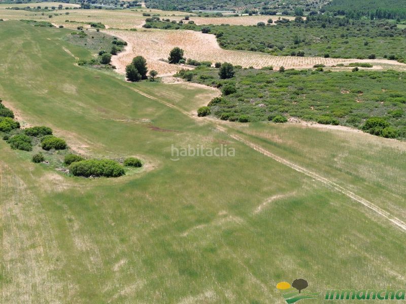 Foto 26b6bcf0-e9fe-4deb-bd97-d017a3cbf593. Finca rústica a Almansa