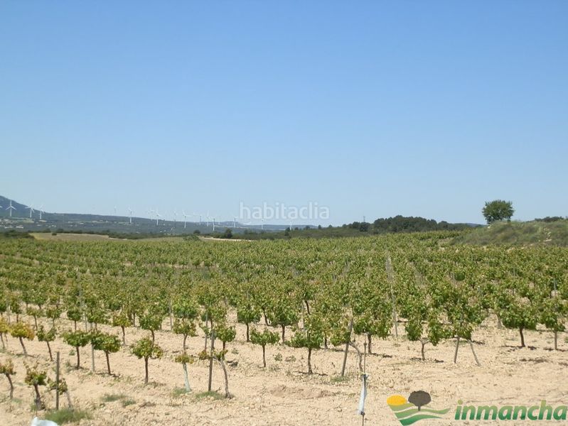 Foto 2fb1d108-9a64-4d32-96ec-acbe35d57332. Finca rústica a Almansa