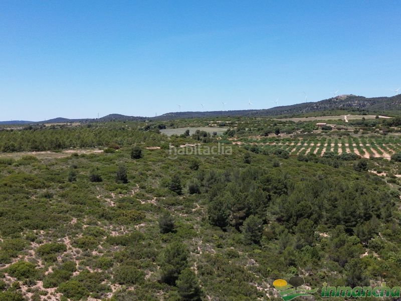 Foto 408a5432-6376-4fe7-a996-506046d5f782. Finca rústica a Almansa