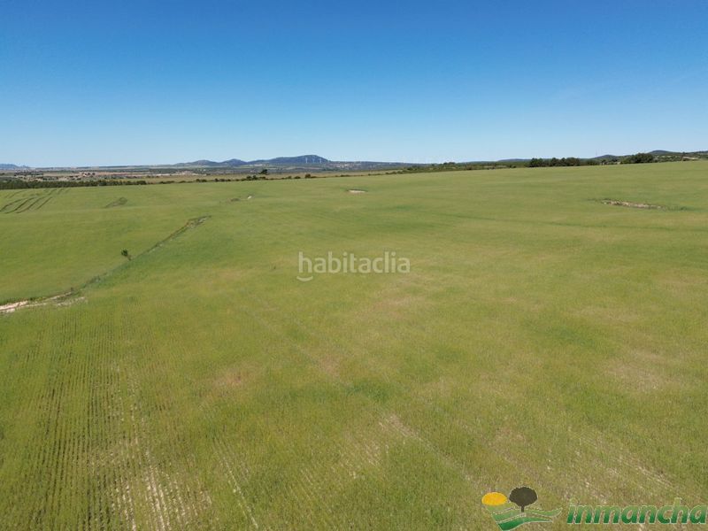 Foto 5855ab03-dd39-4c39-8acd-718576091bbd. Finca rústica a Almansa