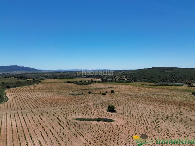 Foto 5c148c33-d67b-4b22-8578-63221ba6b56b. Finca rústica a Almansa