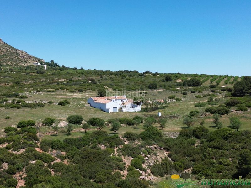 Foto 88a45430-3d3f-4e09-97c8-58b5c981a1e8. Finca rústica a Almansa