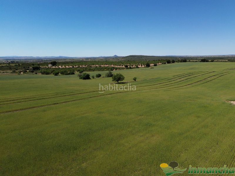 Foto c733f877-73a7-4e72-bda6-04bd7f7df1ef. Finca rústica a Almansa