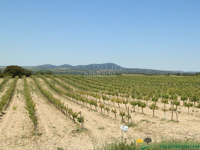 Foto cc1cc7cd-be95-4198-818a-4398b220cba9. Finca rústica a Almansa