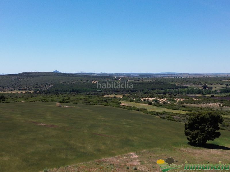 Foto d5ef7d40-b8fa-4148-bba2-ebc90e4860ce. Finca rústica a Almansa