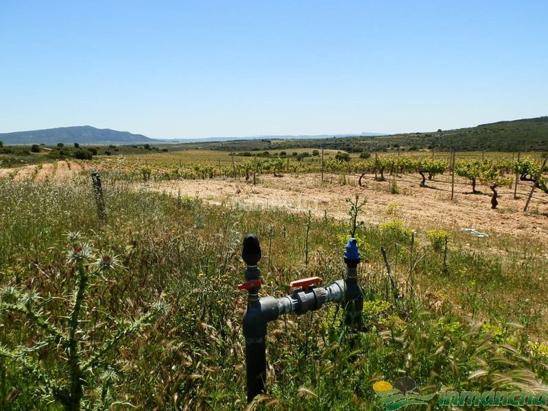Foto e38d0d42-67e3-4c50-84d9-b02f459c52d2. Finca rústica a Almansa