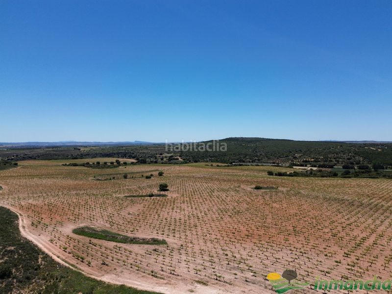 Foto f969c71a-dd28-4335-a91a-94dc6a2aeb64. Finca rústica a Almansa