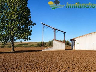 Finca rústica en Salobre. Finca en venta 28 has, olivar riego en reolid (albacete)