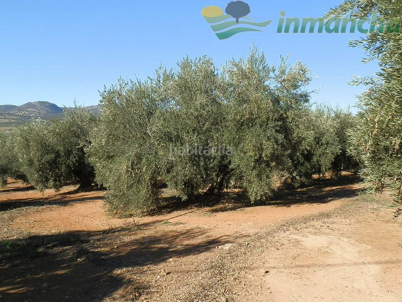Foto 126ae511-9687-41fd-9fad-3666dd119940. Finca rústica a Puente de Génave