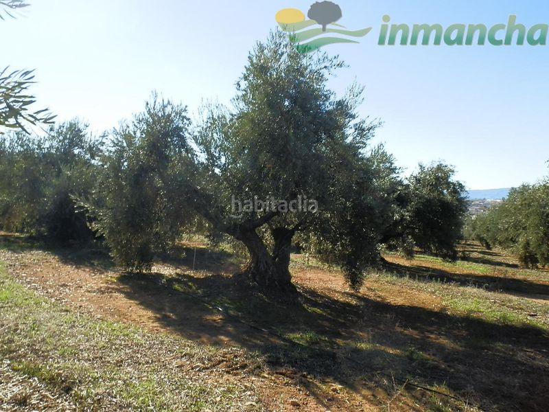 Foto 4ef8a82e-5881-499d-8160-94ca9787f719. Finca rústica a Puente de Génave