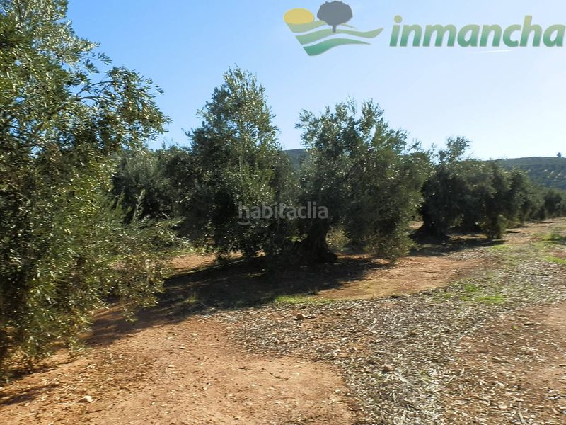 Foto 76f38807-98e2-4bd0-a3e1-7a7ccabe3893. Finca rústica a Puente de Génave