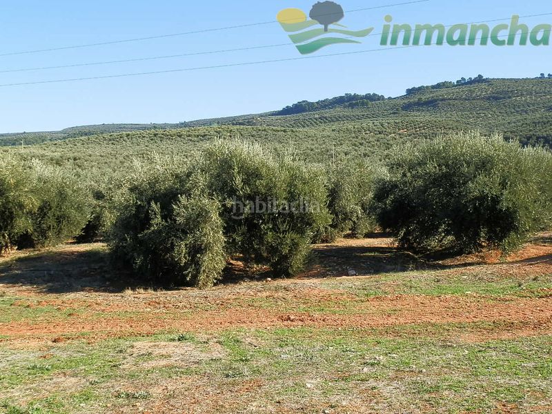 Foto 81519ded-ce54-48a5-b9c7-835193fe108b. Finca rústica a Puente de Génave