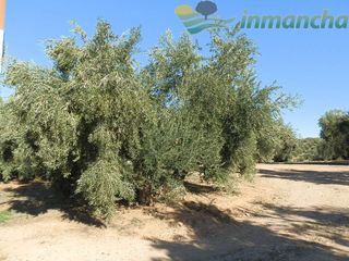 Finca rústica a Puente de Génave. Finca en venta 36 has. olivar riego en puente genave (jaen)
