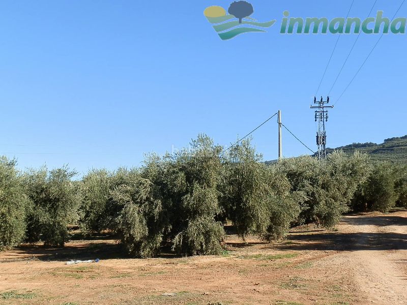 Foto df17dc43-c0df-48a4-a57a-c2c83fb2d597. Finca rústica a Puente de Génave