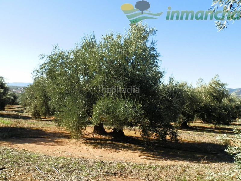 Foto f0090f0b-976f-4a81-b247-b26f592c84c9. Finca rústica a Puente de Génave