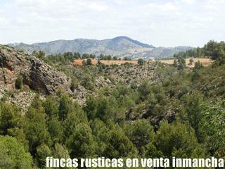 Finca rústica a Yeste. Finca en venta labor riego ganadera caza mayor