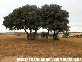 Finca rústica a Belmonte. Finca en venta monte labor caza menor en cuenca