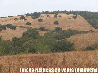 Finca rústica a Abenójar. Finca en venta labor monte recreo caza mayor