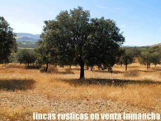 Finca rústica a Malagón. Finca en venta 100 has. labor olivar ganadera monte caserío en m