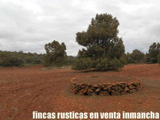 Finca rústica a Munera. Finca en venta labor monte caza menor en albacete