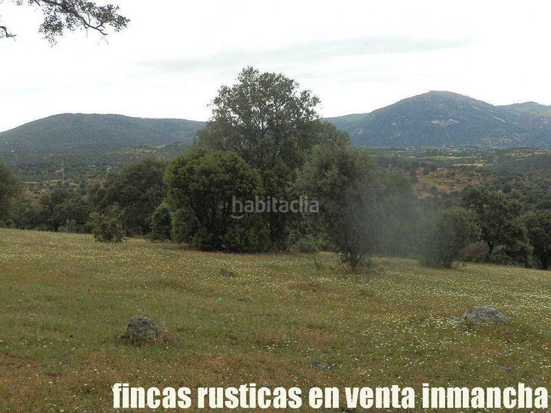 Foto 1bca2503-5c00-4500-a3fb-c2fabe2dd185. Finca rústica a Casco Antiguo Talavera de la Reina