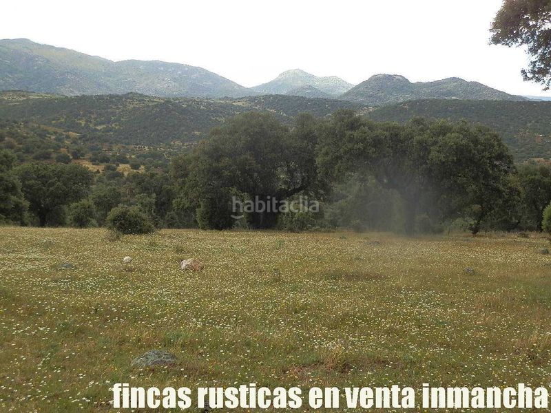 Foto 329ad5c1-f3a3-4270-8ecc-4b7f601e1ae5. Finca rústica a Casco Antiguo Talavera de la Reina