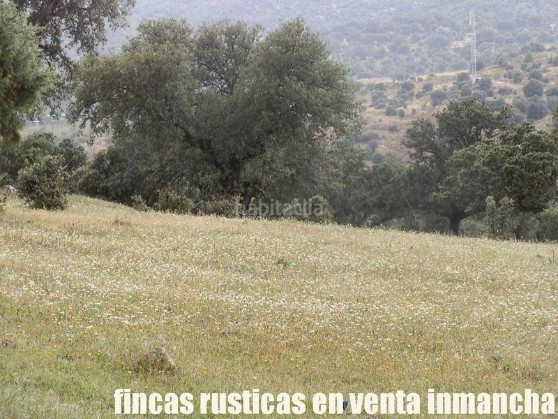 Foto 36340f4d-3372-4f21-999d-5e210dfa8a8d. Finca rústica a Casco Antiguo Talavera de la Reina
